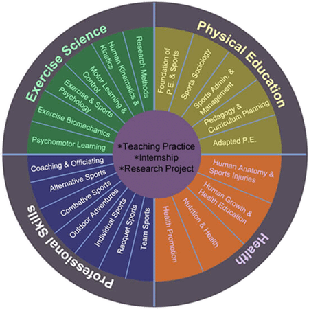 programmes_ugrad-piechart 1